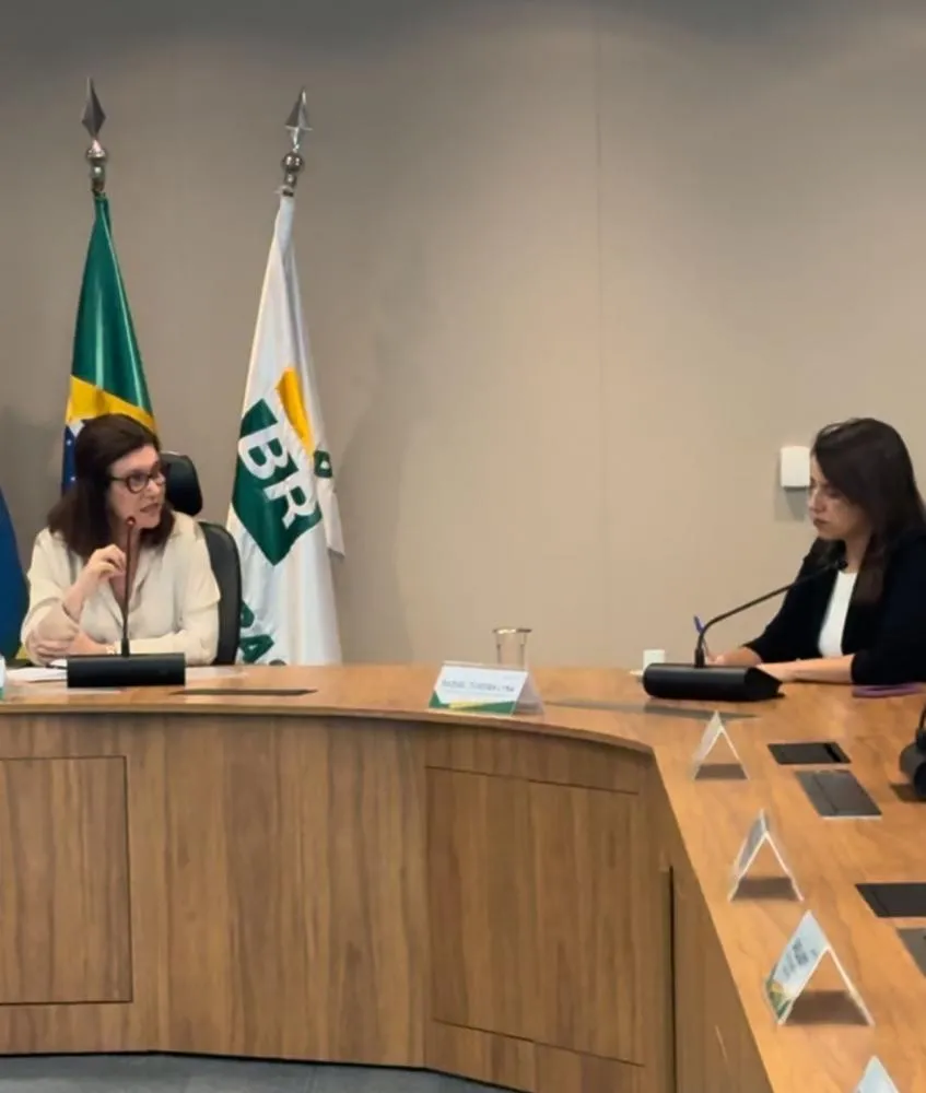Fotos: Divulgação