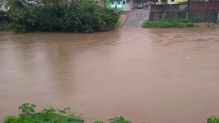 Reprodução Instagram 