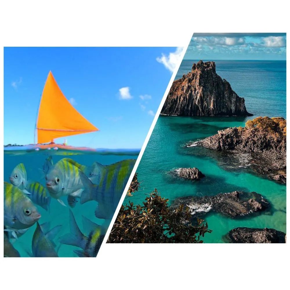 Foto Porto de Galinhas 1: Thiago Cavalcanti/Foto Fernando de Noronha 2: Weidson Carlos