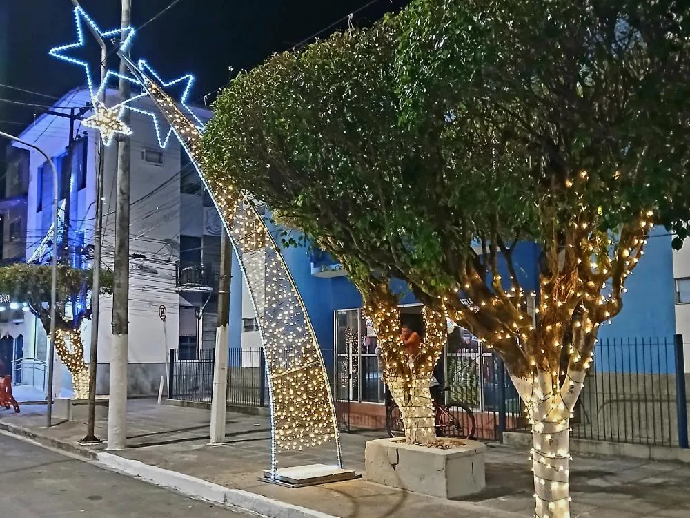 Divulgação 