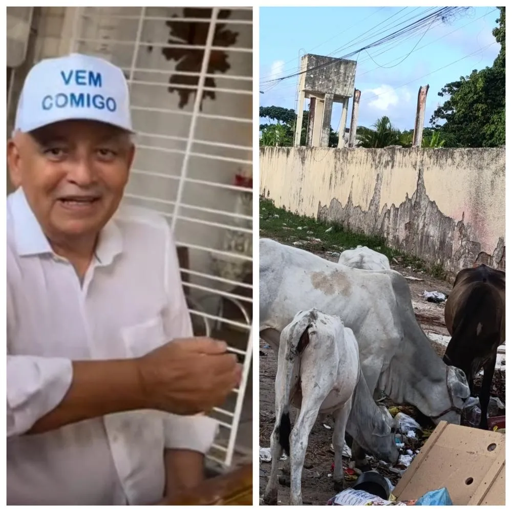 Fotos: reprodução internet e enviadas por moradores para redação.