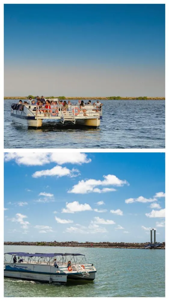 Foto: Prefeitura do Recife 